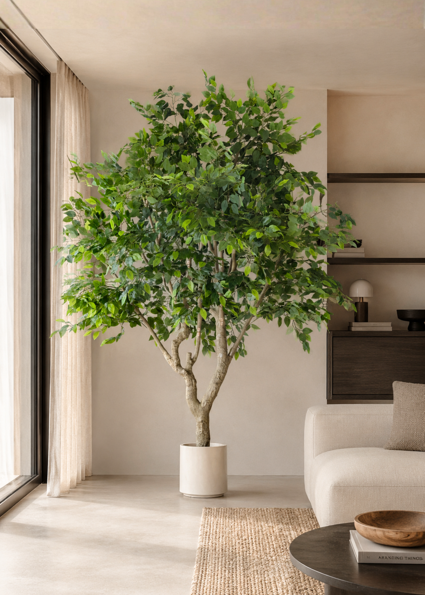 Artificial Ficus Palatial Plant - 8 Feet