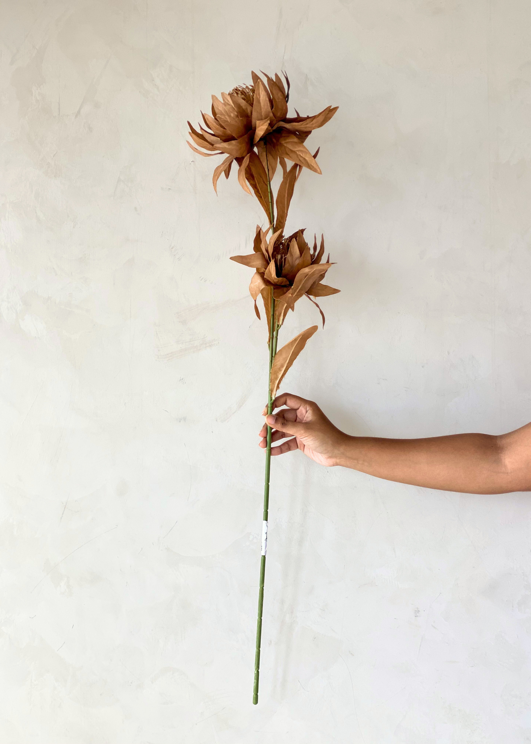 Artificial Portea Flower Stem - (One Stem) Brown