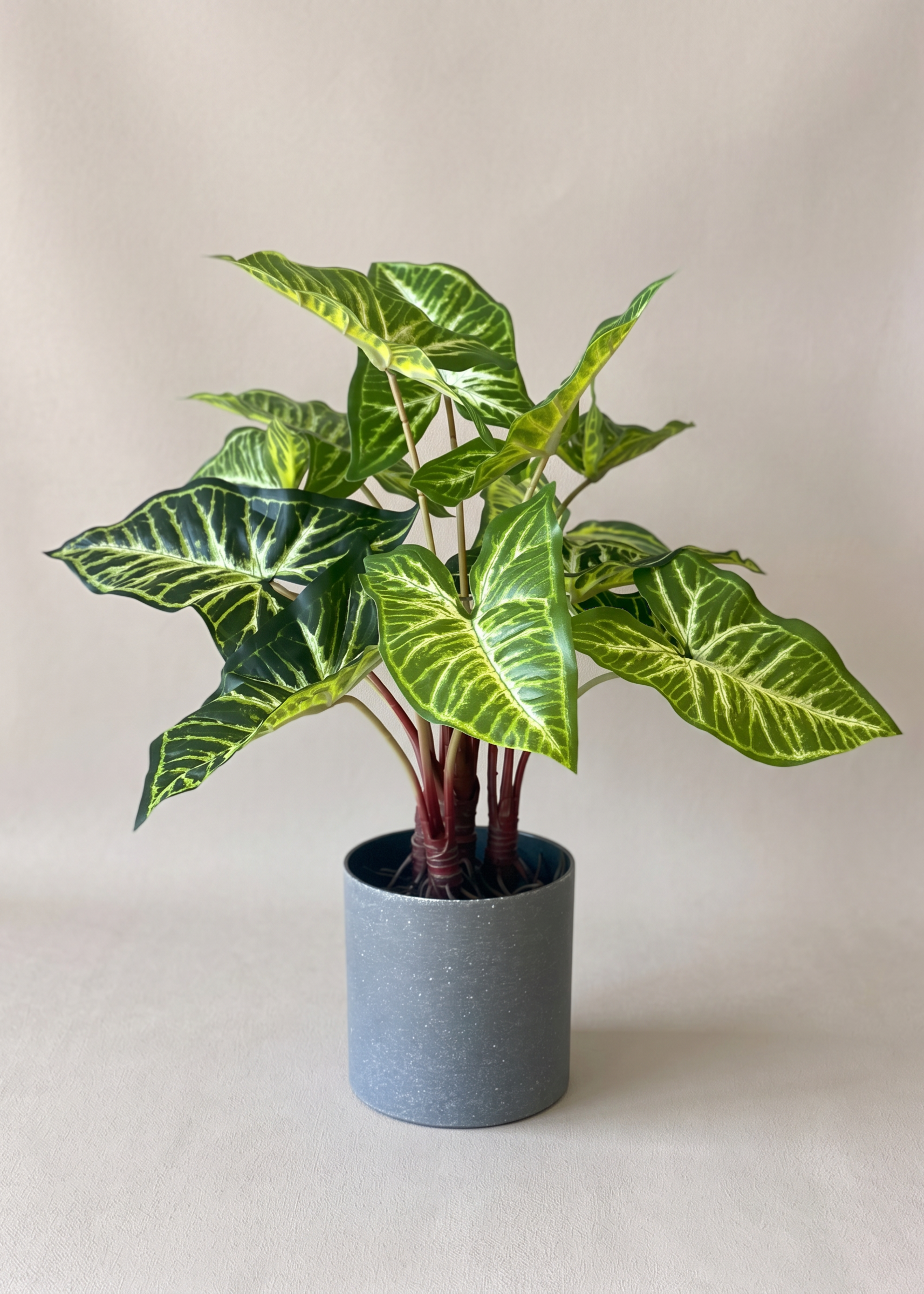 Artificial Varigated Pothos Plant - 1.5 Feet