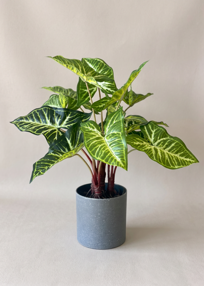 Artificial Varigated Pothos Plant - 1.5 Feet