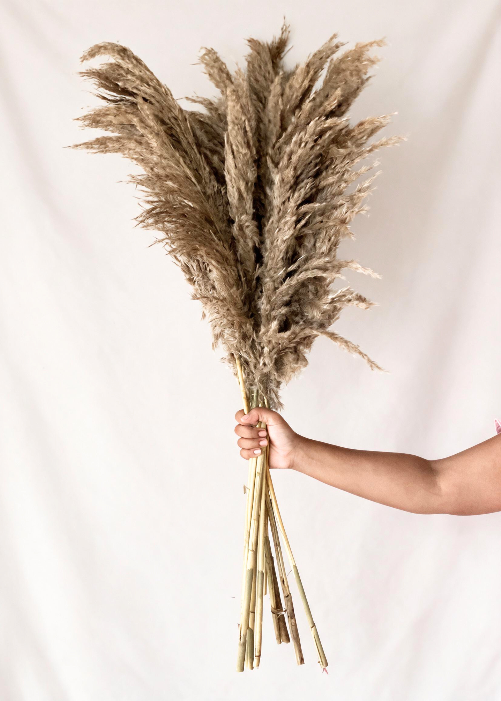 Artificial Feather Pampas Bunch - Natural