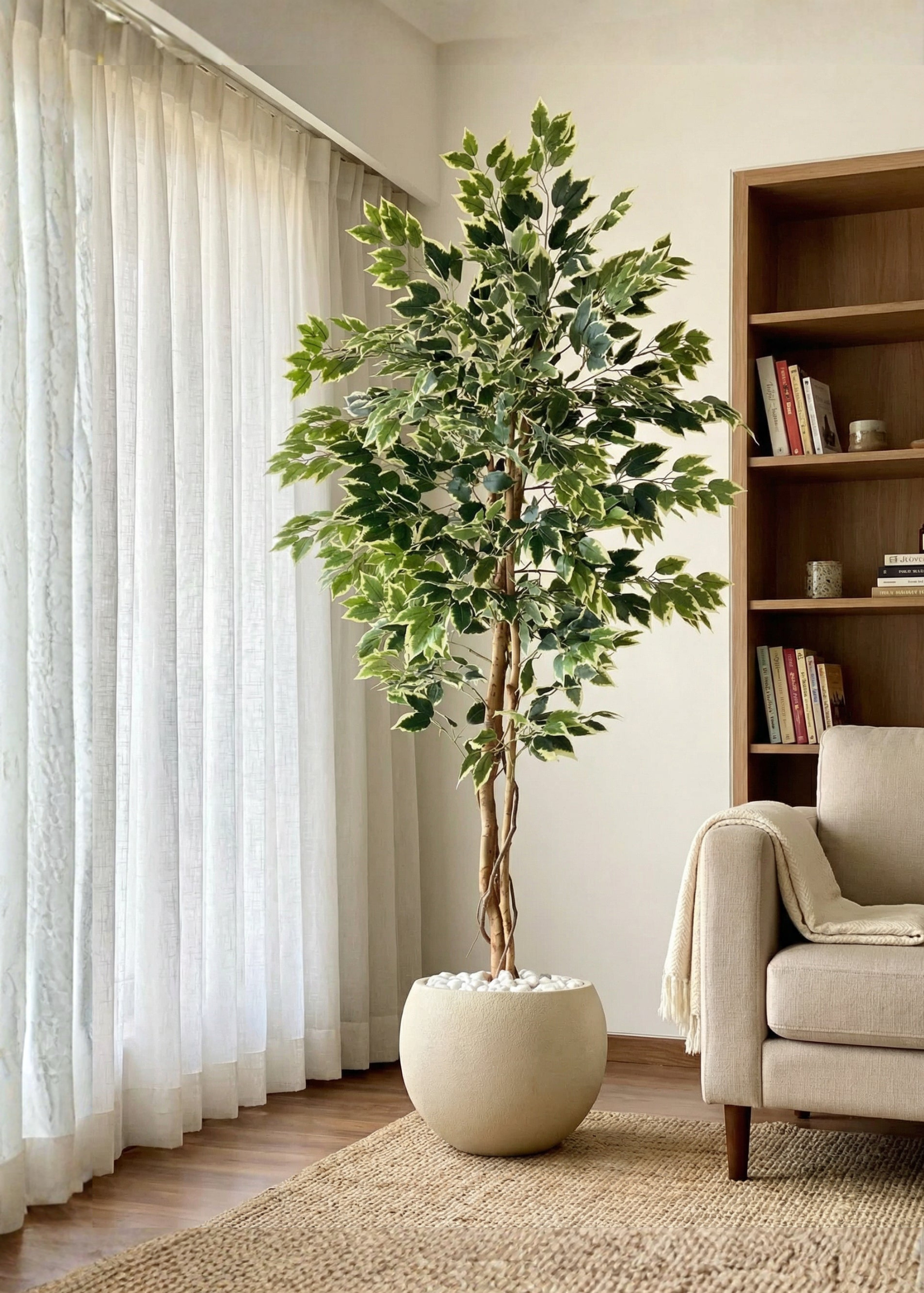 Artificial Variegated Dried Ficus Plant - 6.5 Feet