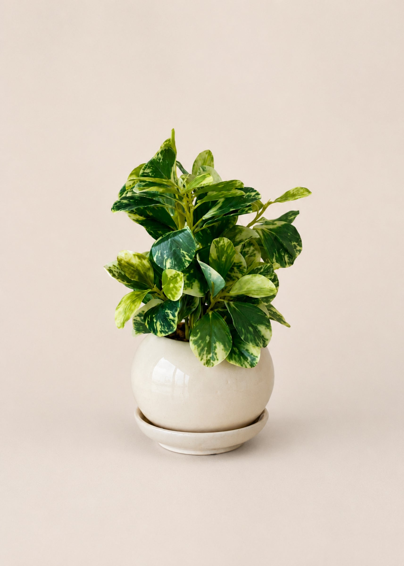 Artificial Variegated Croton Tabletop Plant