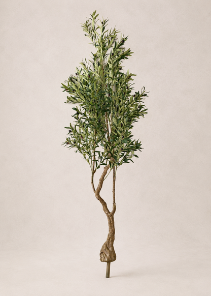 Artificial Olive Serene Plant - 7 Feet