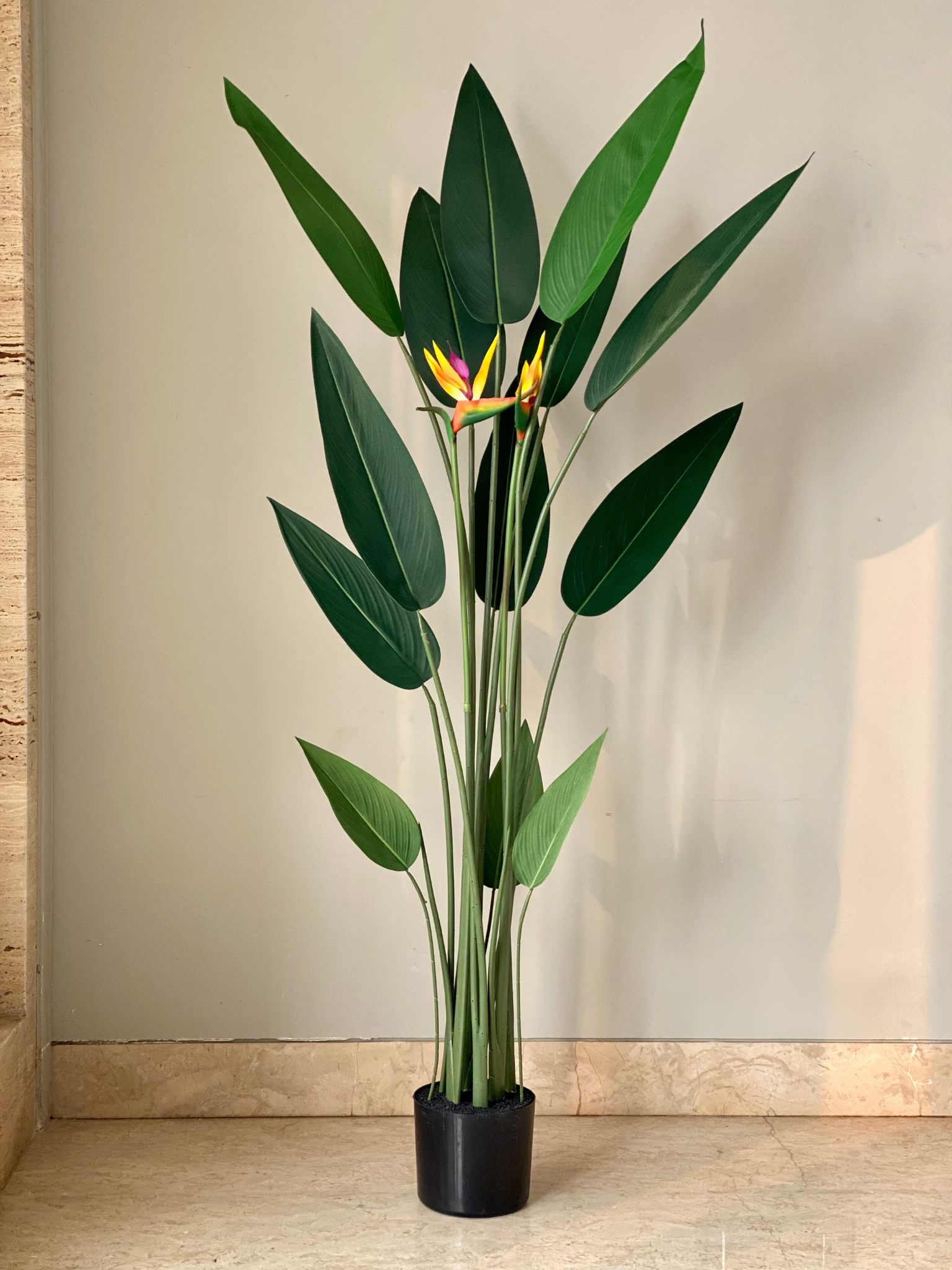 Artificial Strelitzia Plant - 5 Feet