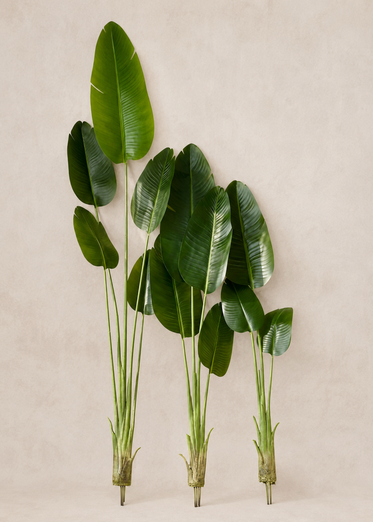 Artificial Cavendish Traveller Plant - 7 Feet