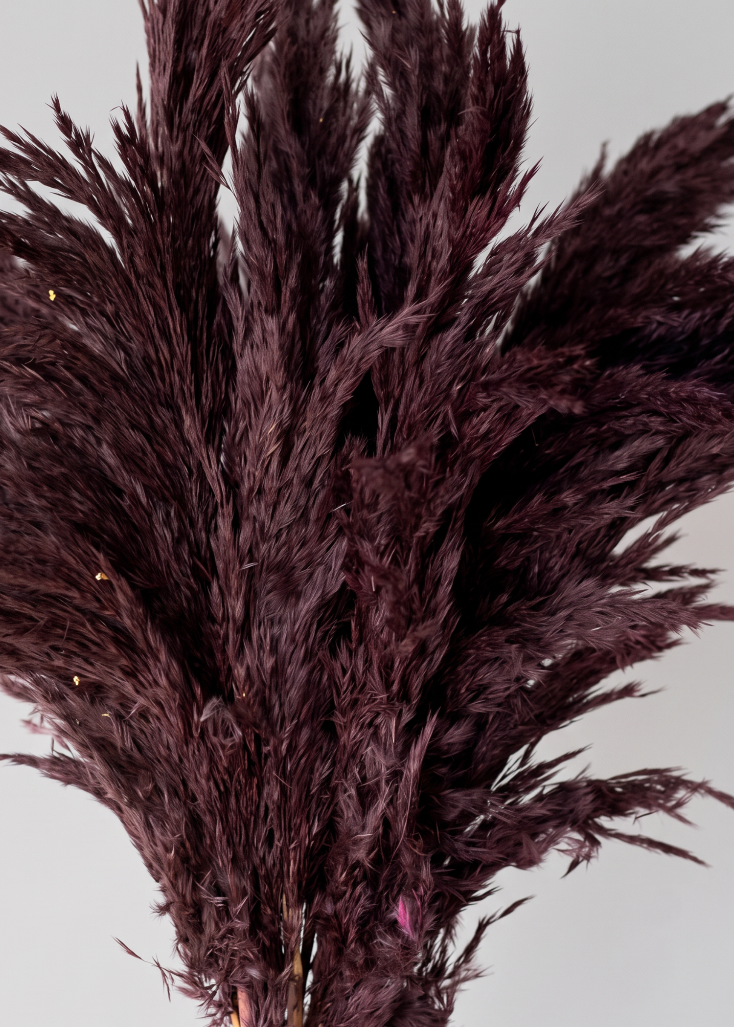 Artificial Feather Pampas Bunch - Burgundy