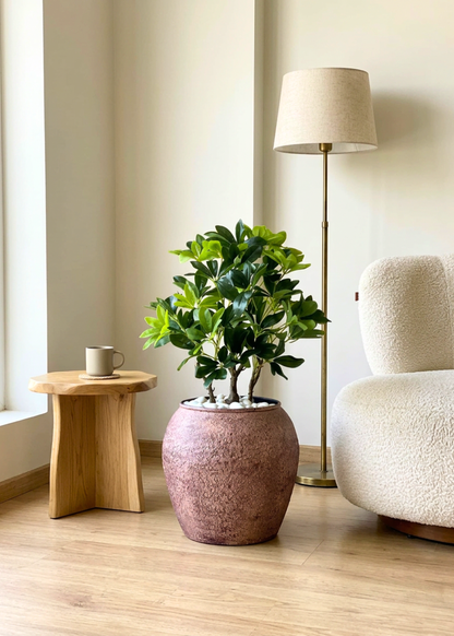 Artificial Schefflera Bonsai - 2 Feet