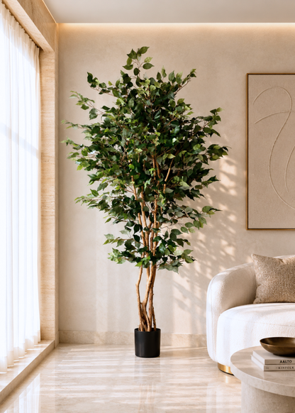 Artificial Paradise Ficus  Plant - 7 Feet