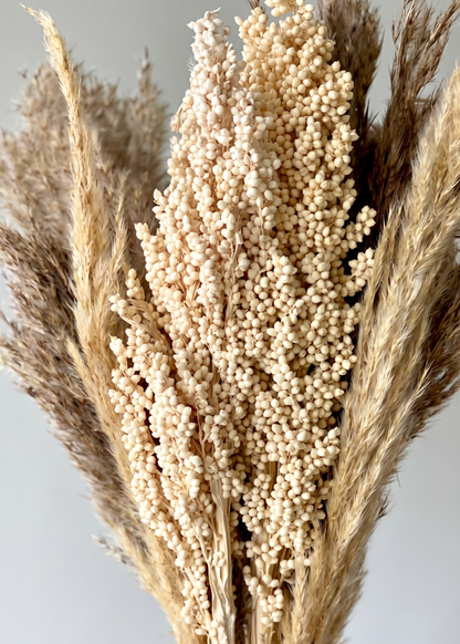 Pampas Corn Harmony Bunch