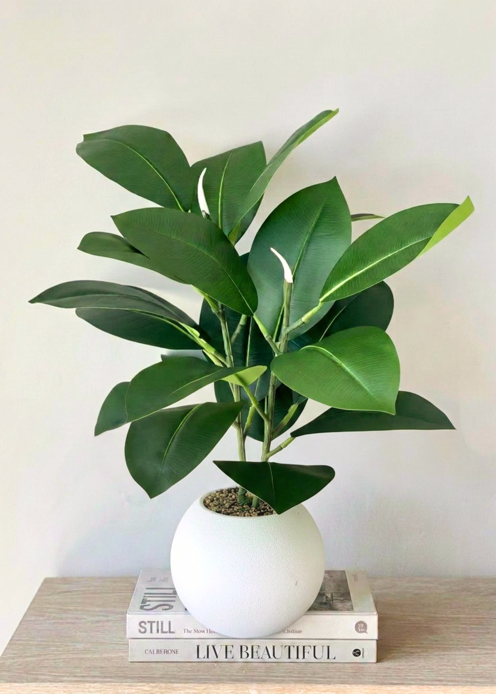 Artificial Rubber Leaf Plant ((White Pot) -  2 Feet