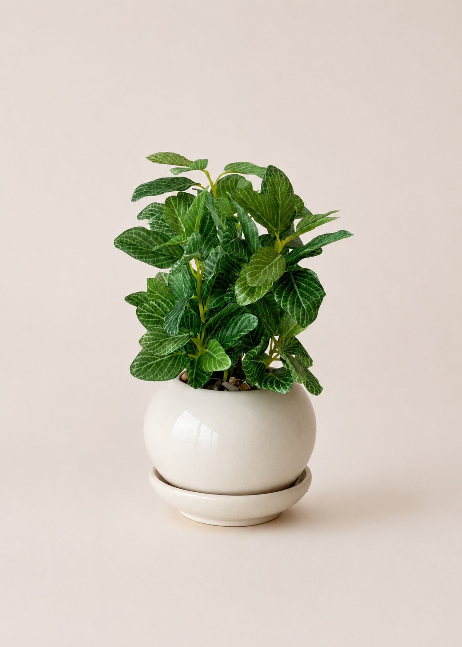 Artificial Polka Dot Plant