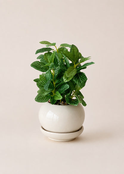 Artificial Polka Dot Plant