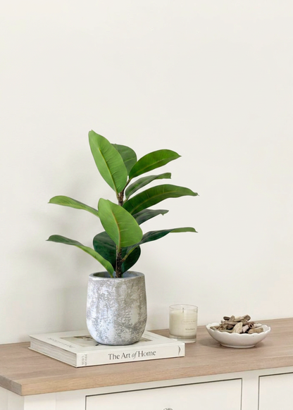 Artfiicial Bonsai Plant - 1 Feet