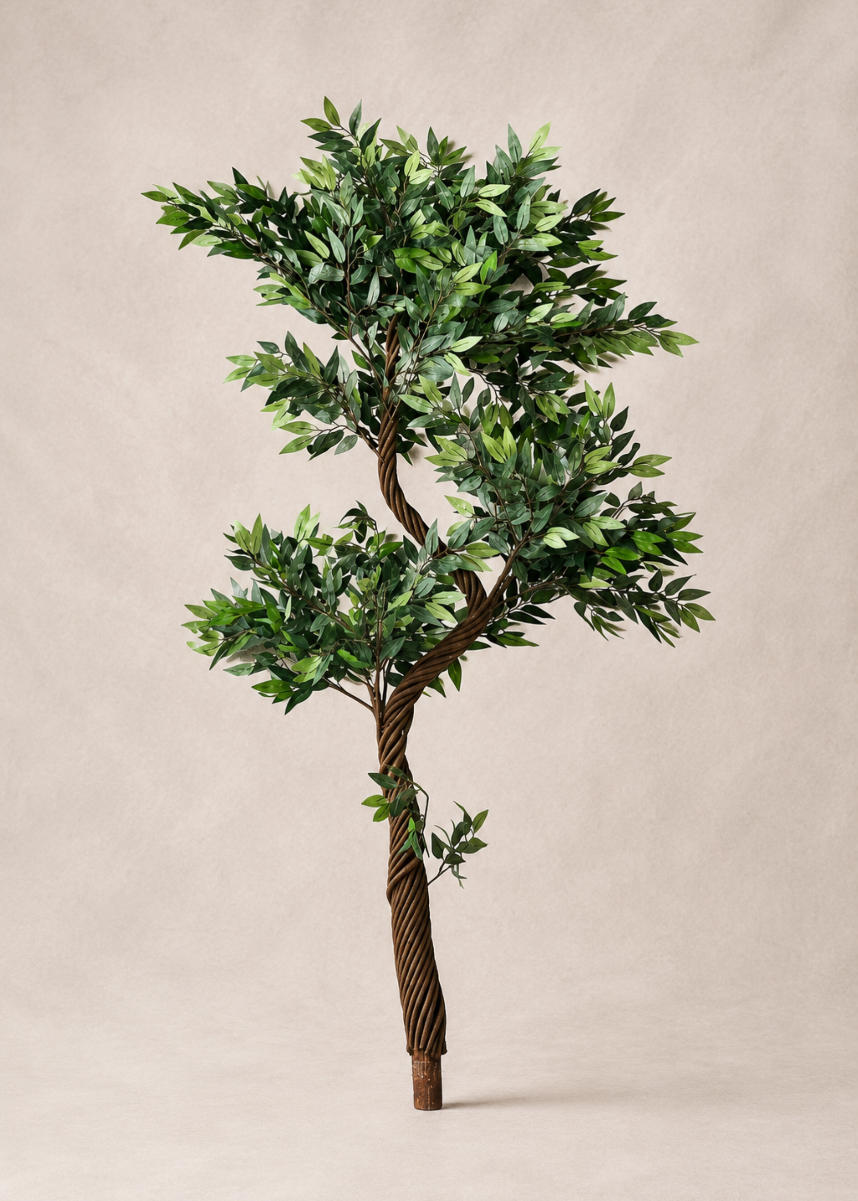 Artificial Twisted Ficus Tree - 6 Feet