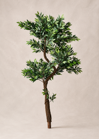 Artificial Twisted Ficus Tree - 6 Feet