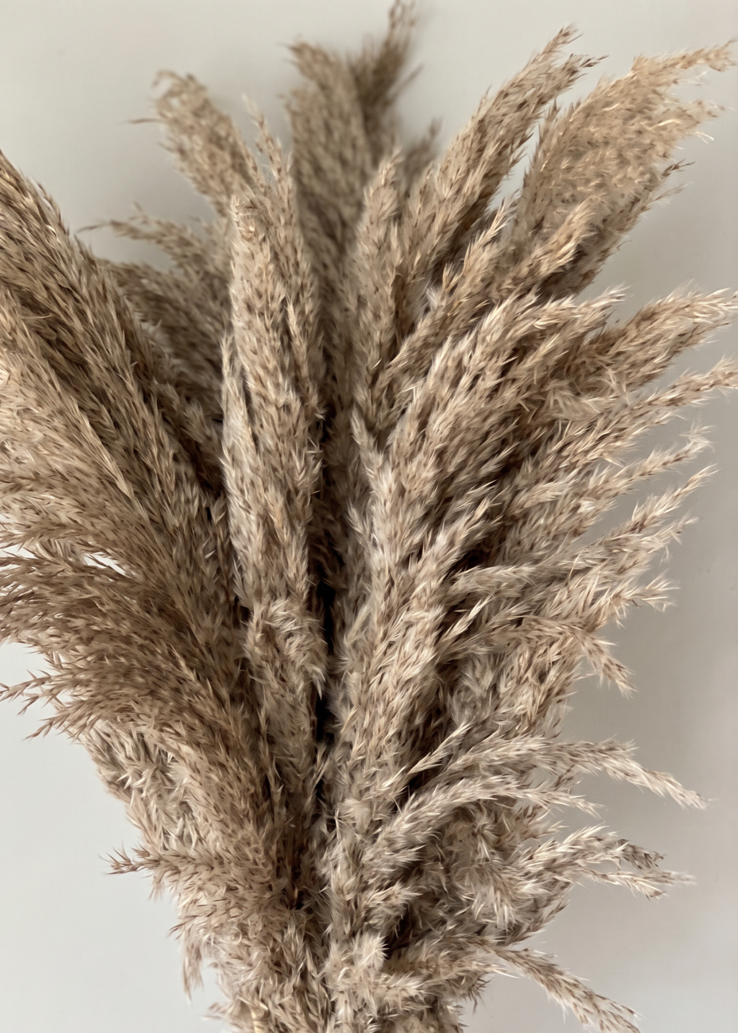 Artificial Feather Pampas Bunch - Natural