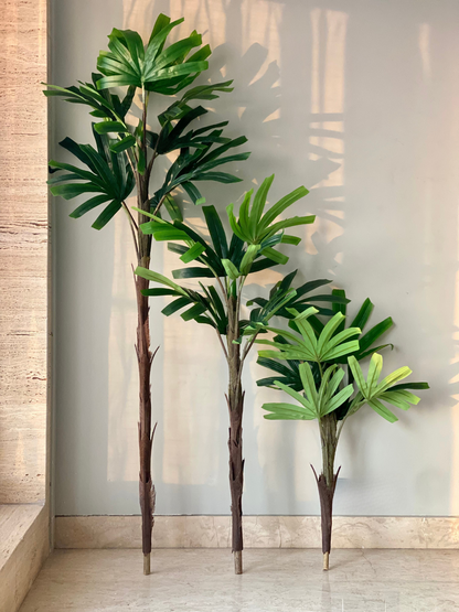 Artificial Dense Rhapis Palm  Plant - 5.5 Feet