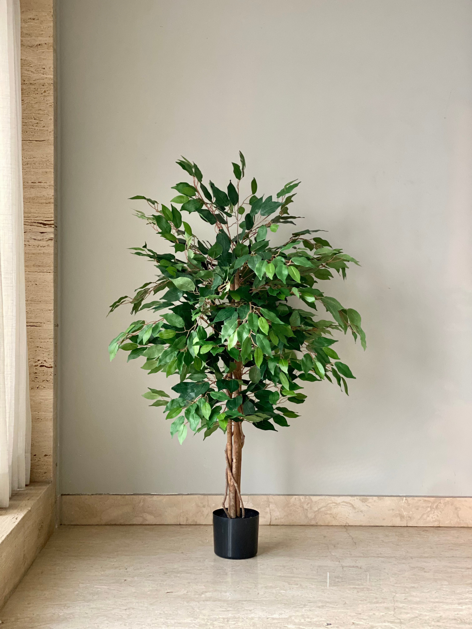 Artificial Weeping Ficus Plant - 4 Feet