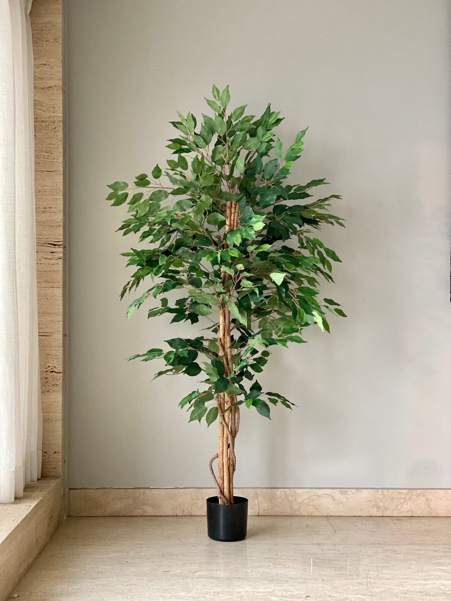 Artificial Weeping Ficus Plant - 5 Feet