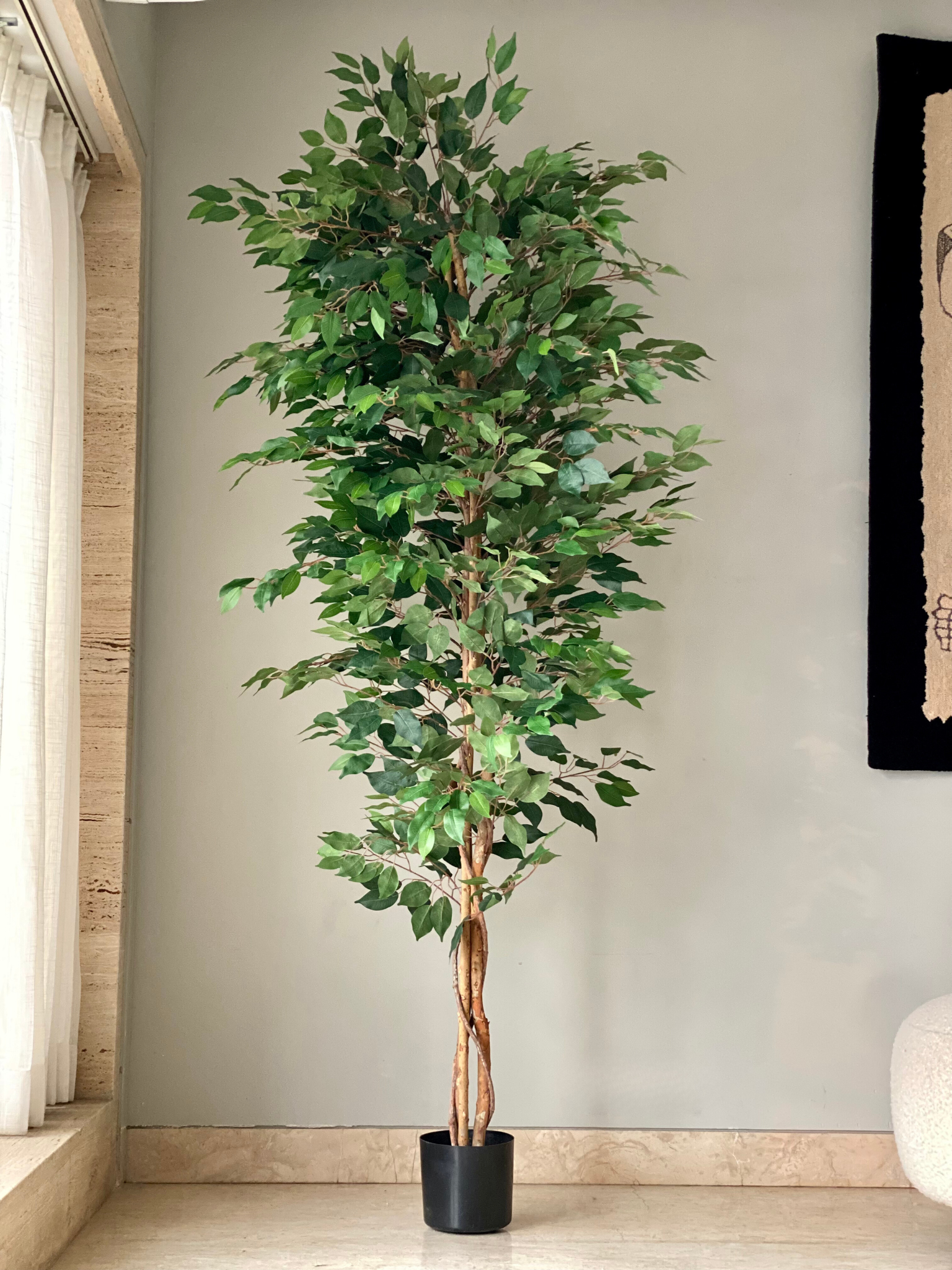 Artificial Weeping Ficus Plant - 7 Feet