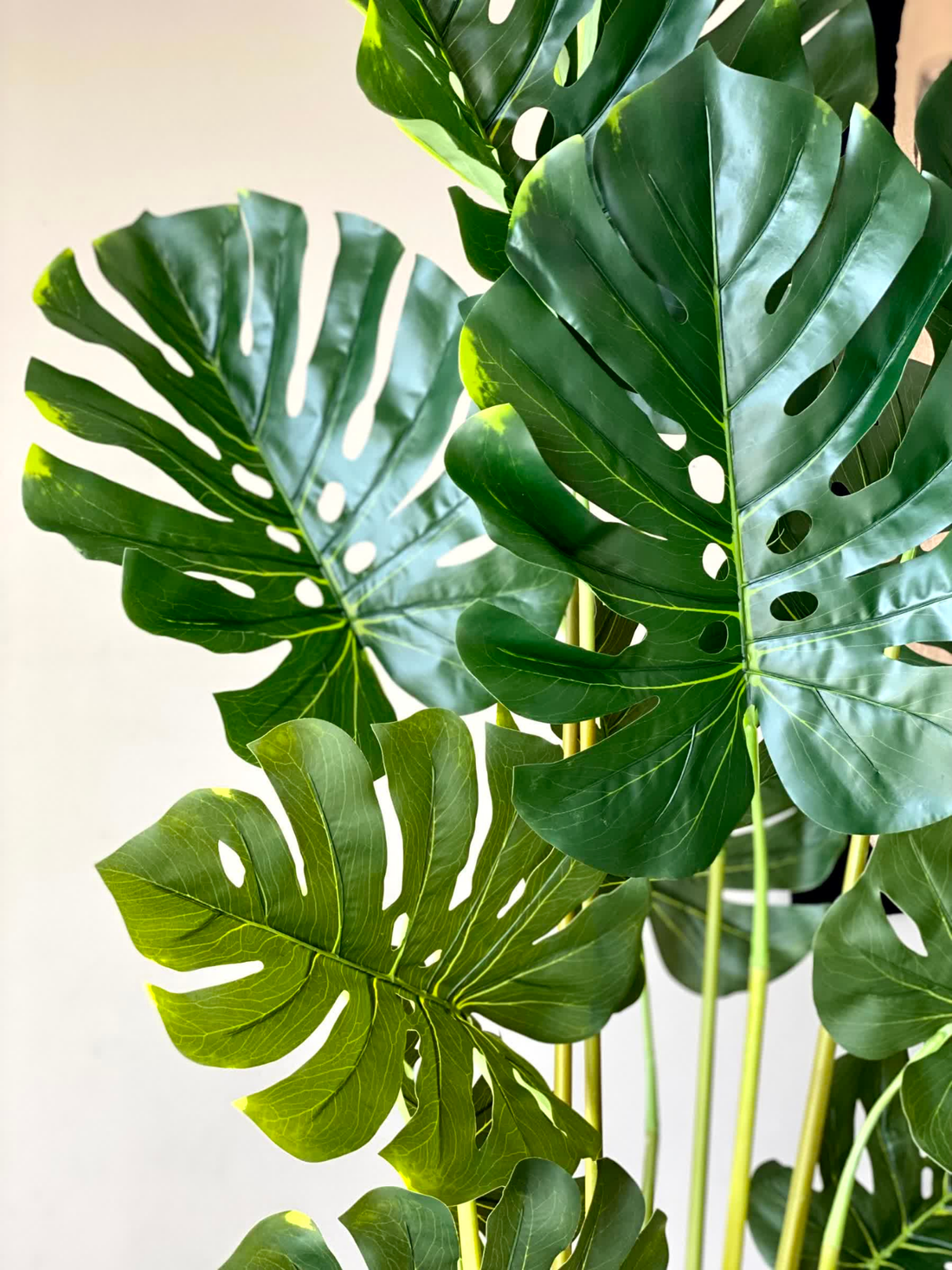 Artificial Evergreen Monstera Plant -  5.5 Feet
