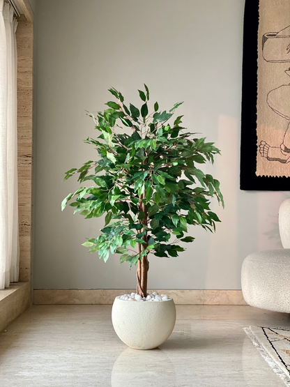 Artificial Weeping Ficus Plant - 4 Feet