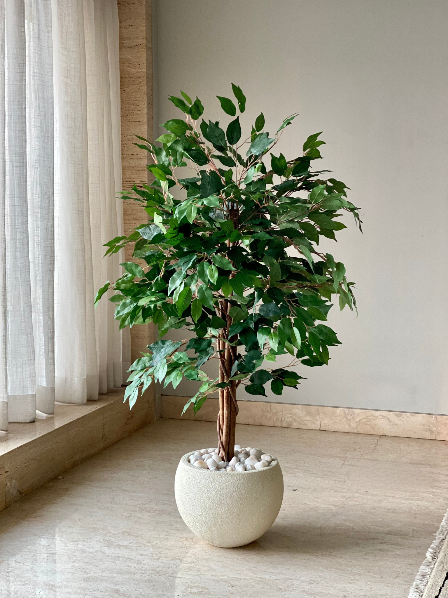 Artificial Weeping Ficus Plant - 4 Feet