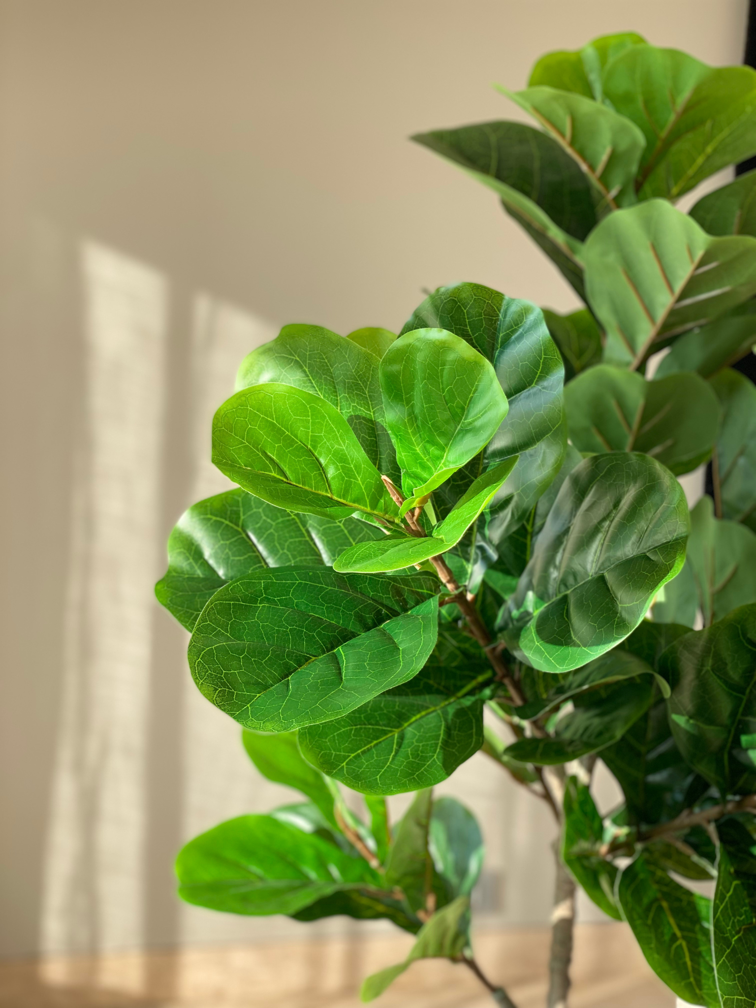 Artificial Fiddle Leaf Plant - 5 Feet