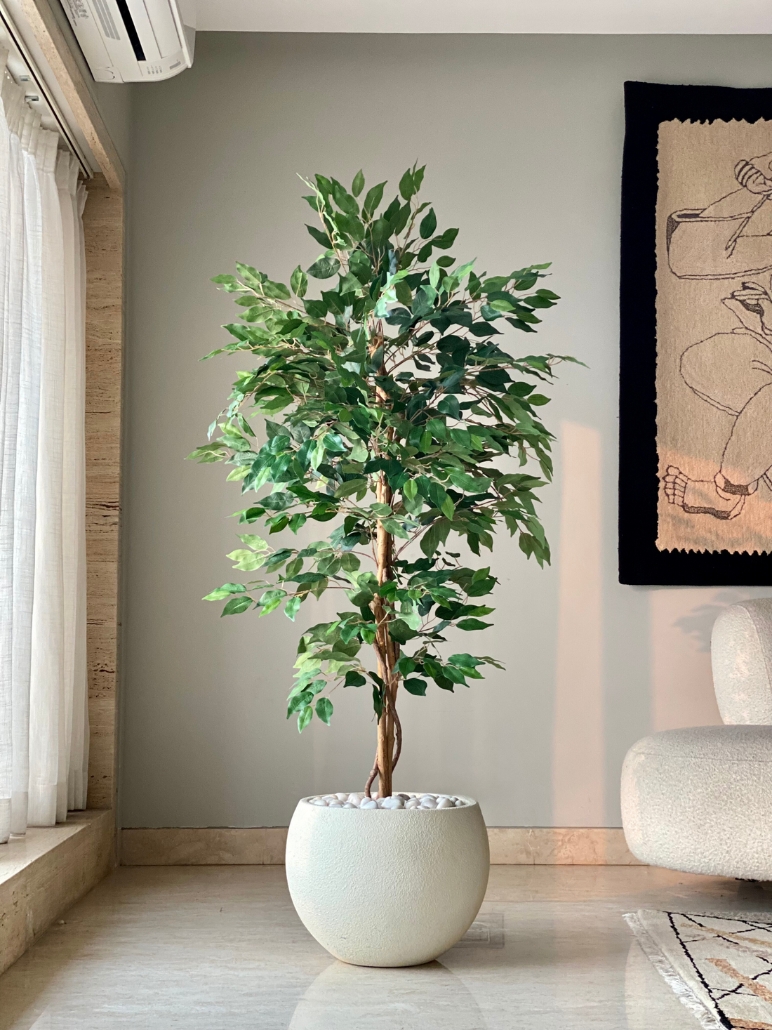 Artificial Weeping Ficus Plant - 5 Feet