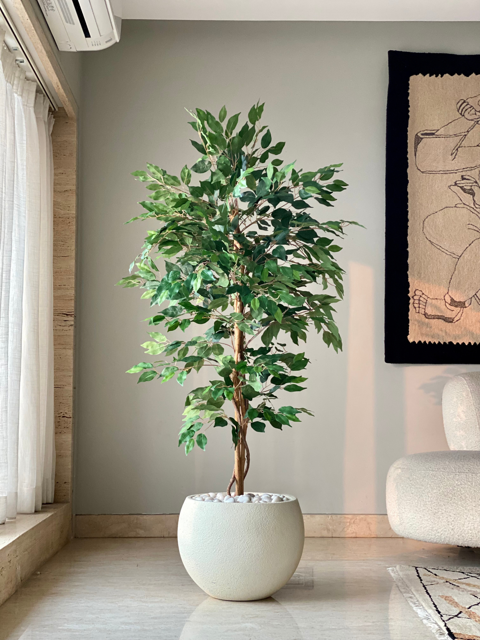 Artificial Weeping Ficus Plant - 5 Feet