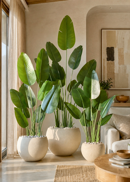Artificial Cavendish Traveller Plant - 7 Feet
