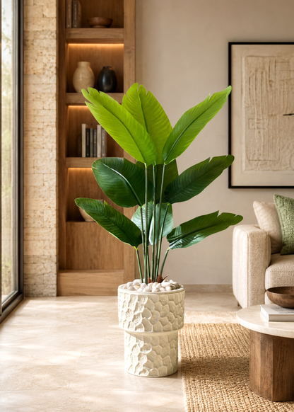 Monet Planters - Ivory