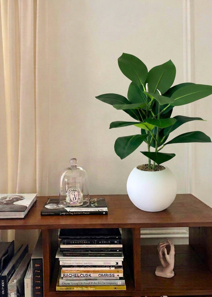 Artificial Rubber Leaf Plant ((White Pot) -  2 Feet