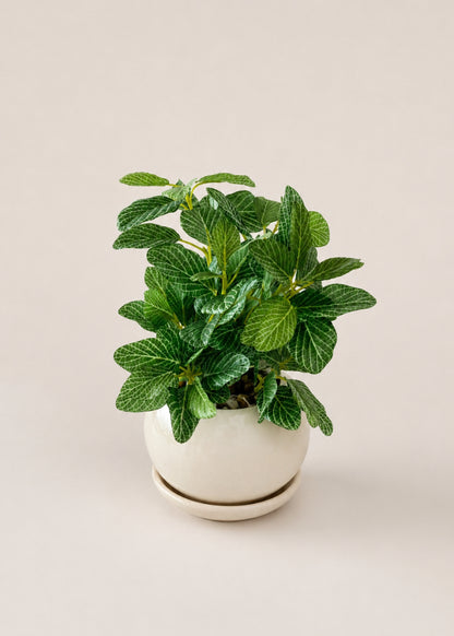 Artificial Polka Dot Plant