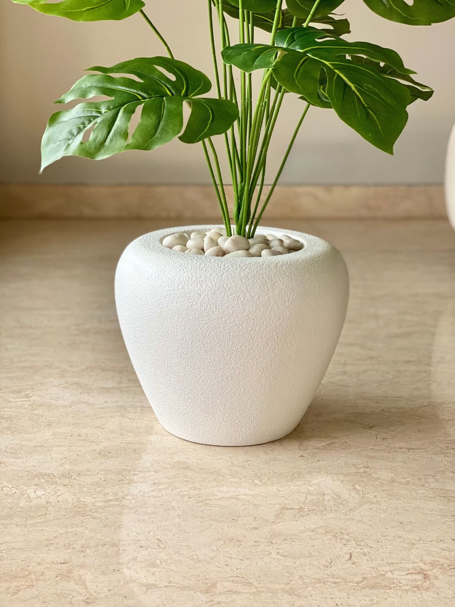 Duch Ivory Planter