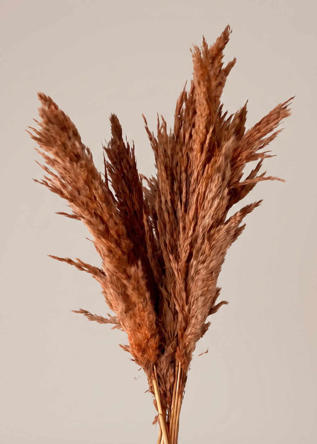 Artificial Feather Pampas Bunch -  Autumn Orange
