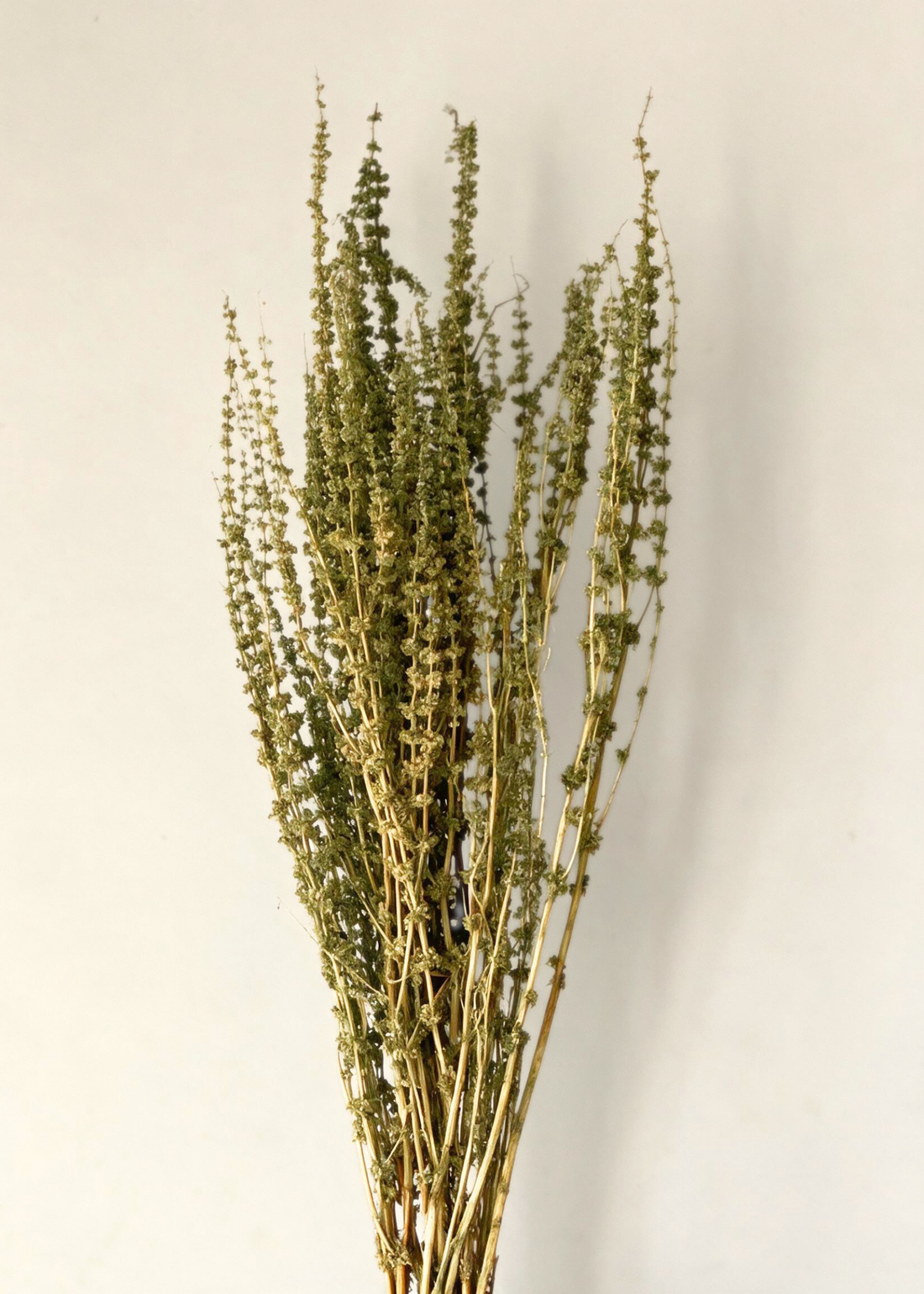 Artificial Meadow Grass Bunch - Green