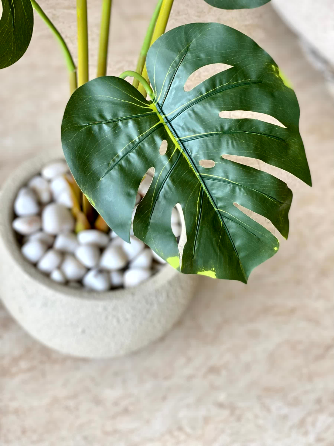 Artificial Evergreen Monstera Plant - 3.5 Feet