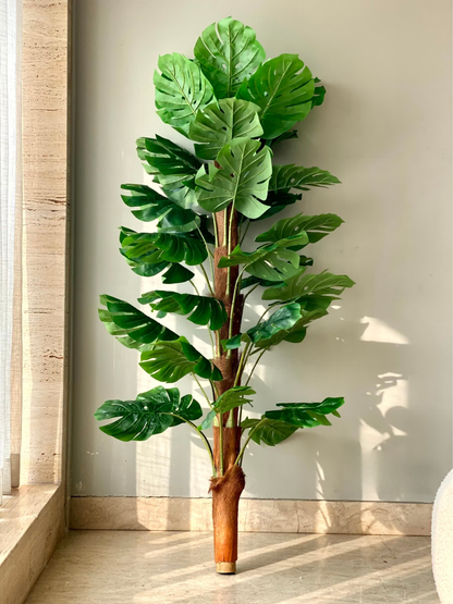 Artificial Monstera Muse Plant - 5 Feet