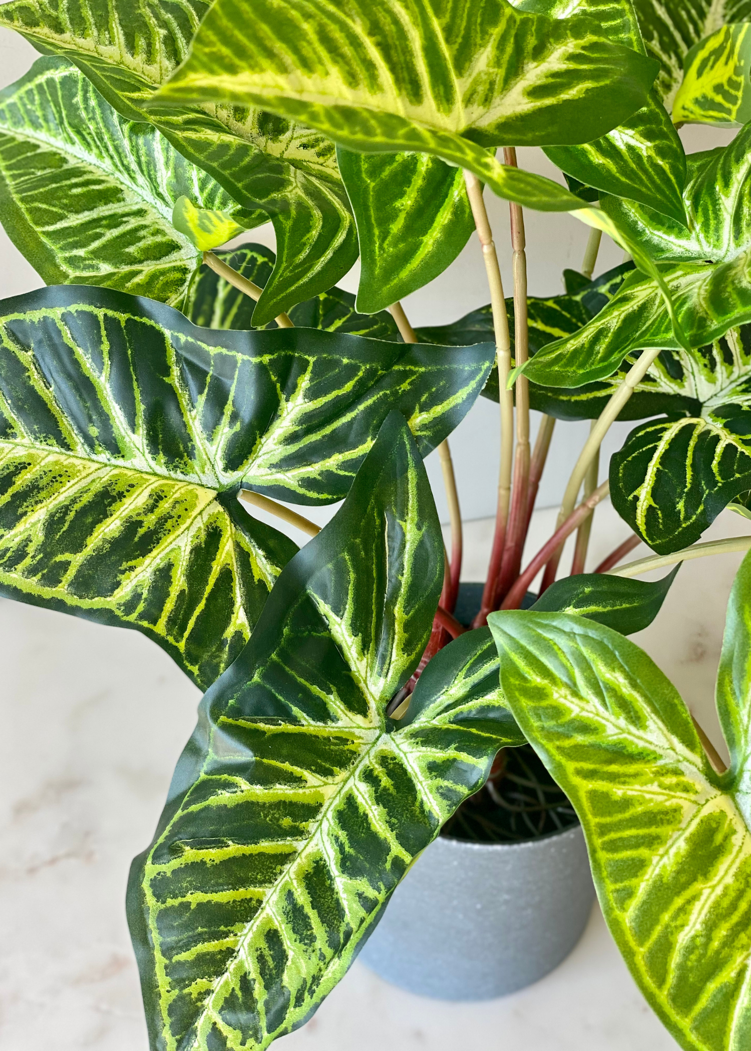 Artificial Varigated Pothos Plant - 1.5 Feet