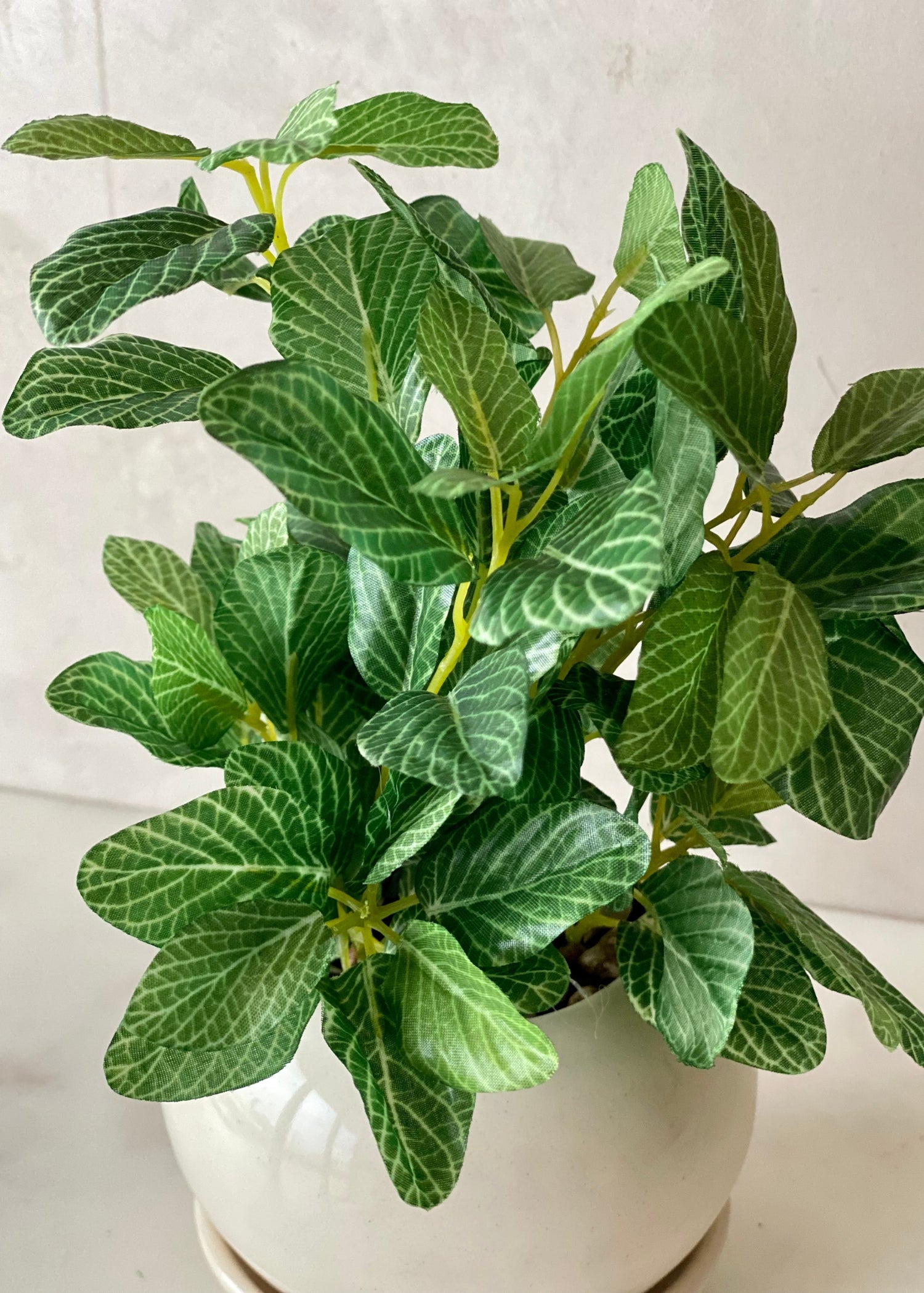 Artificial Polka Dot Plant