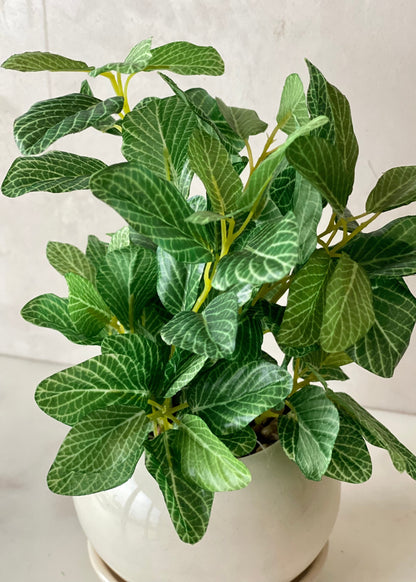 Artificial Polka Dot Plant