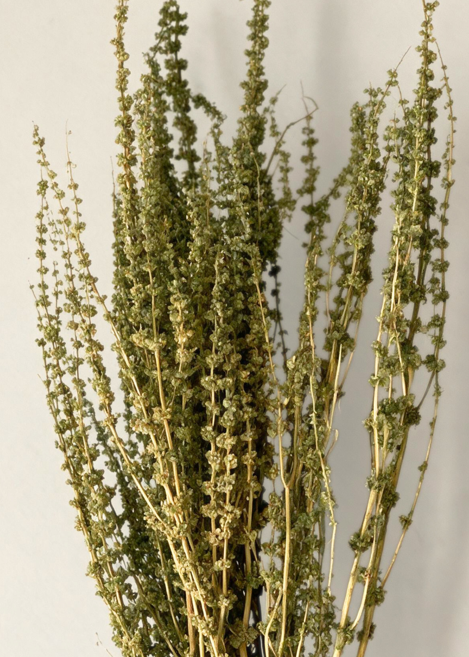 Artificial Meadow Grass Bunch - Green