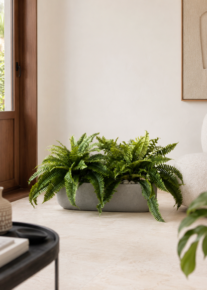 Cove Rectangle Planters - Light Grey