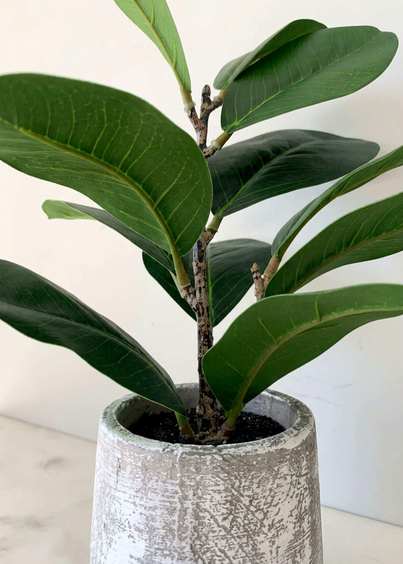 Artfiicial Bonsai Plant - 1 Feet
