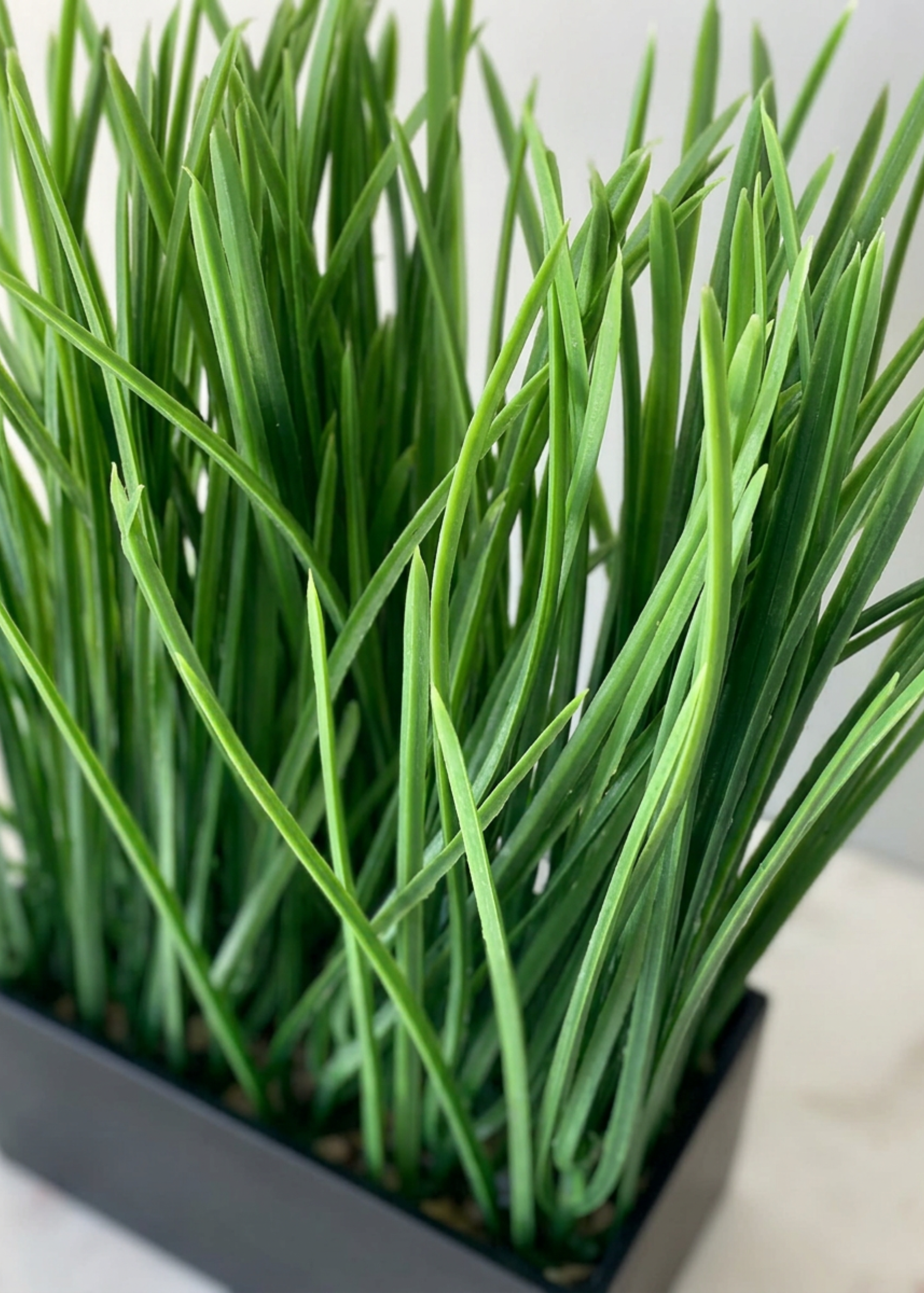 Artficial Grass Plant (Black Pot)