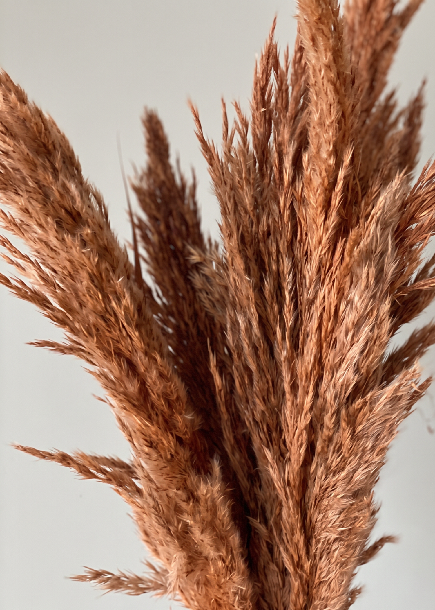 Artificial Feather Pampas Bunch -  Autumn Orange