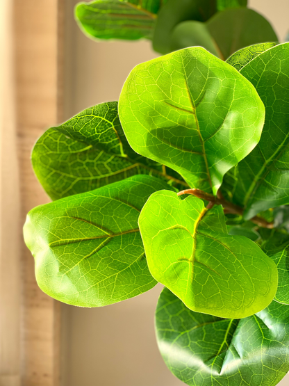 Artificial Fiddle Leaf Plant - 5 Feet