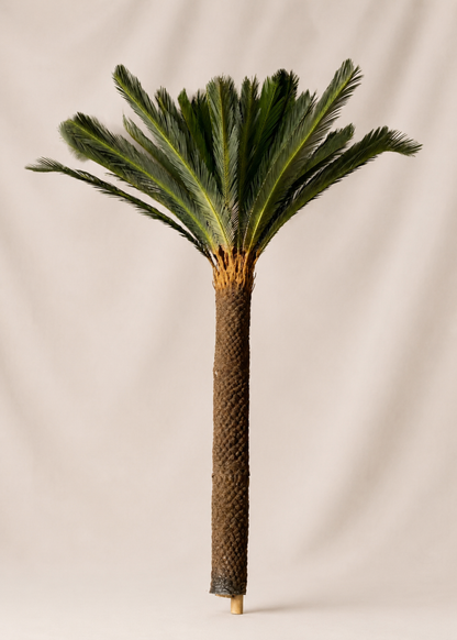 Artificial Sago Cycas Plant - 7 Feet